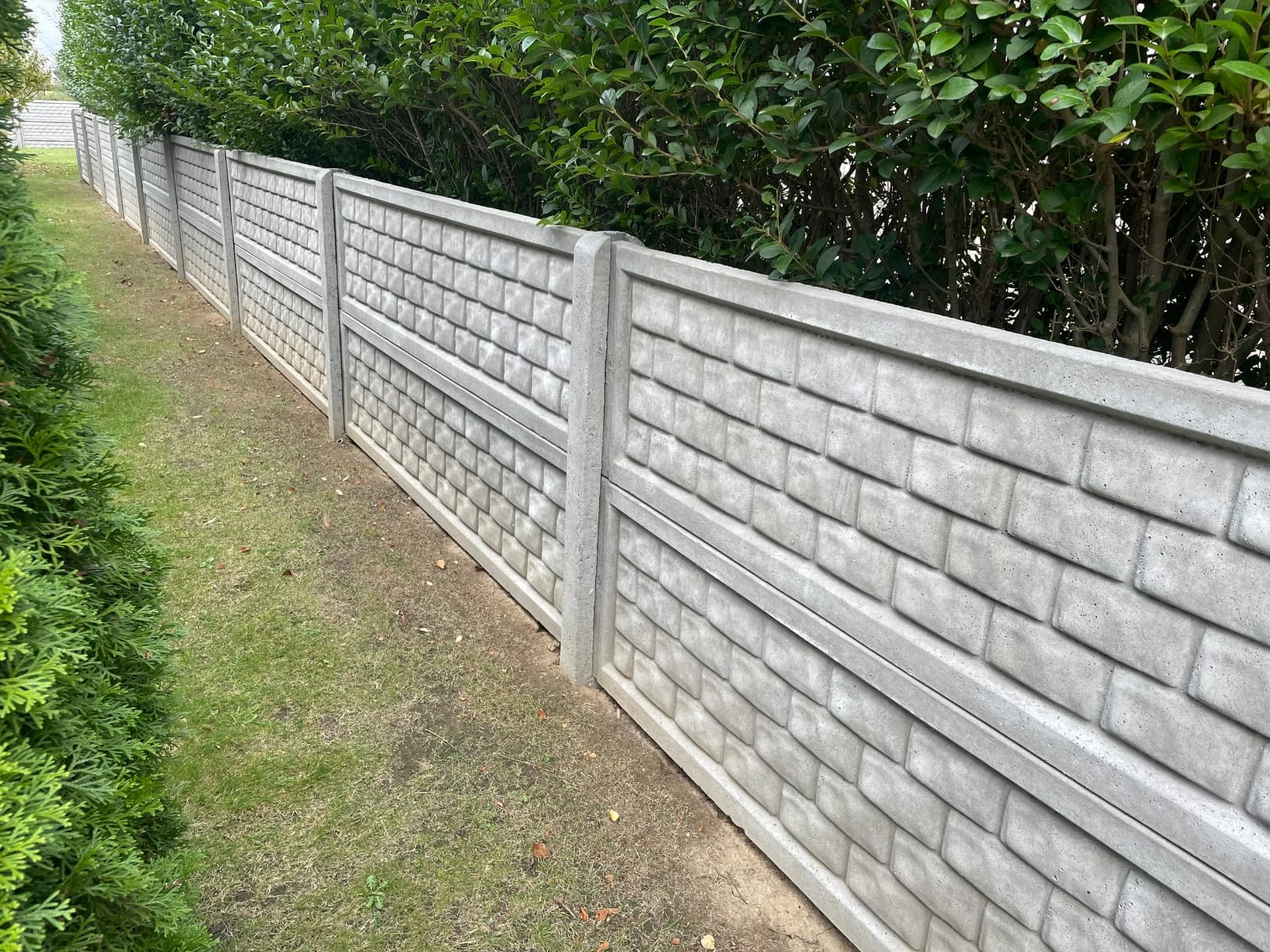Grauer Betonzaun mit Steinmuster aus Fertigpaneelen entlang eines Gartenwegs vor Hecke